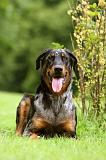 BEAUCERON 792